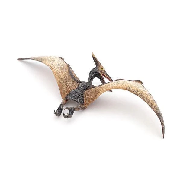 Papo Figurine Dinosaur Pteranodon - Dinosaure Ptéranodon