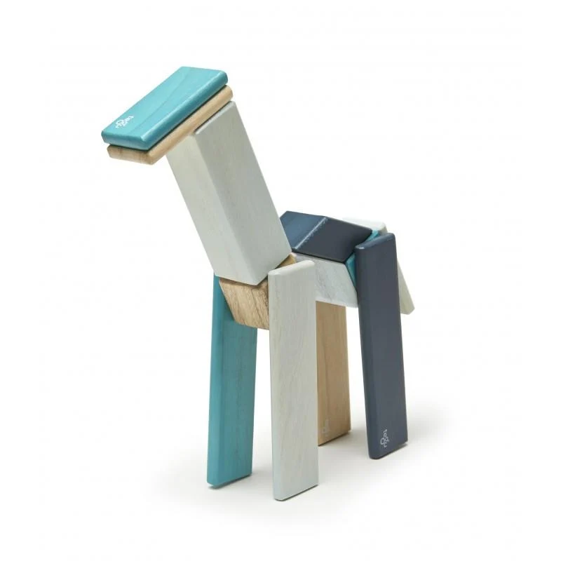 Tegu 14 Piece Set Blue / Ensemble Tegu 14 pièces bleu