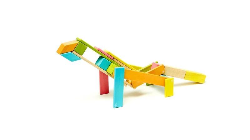 Tegu 24 Piece Set Tints / Tegu, ensemble de 24 teintes