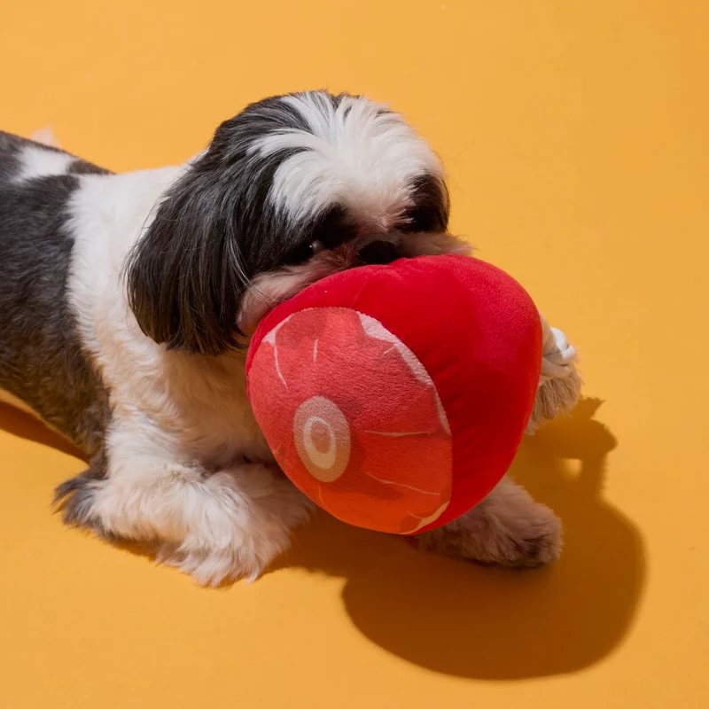 COFFRET JOUETS CHIEN JAMBON ET SAUCISSES