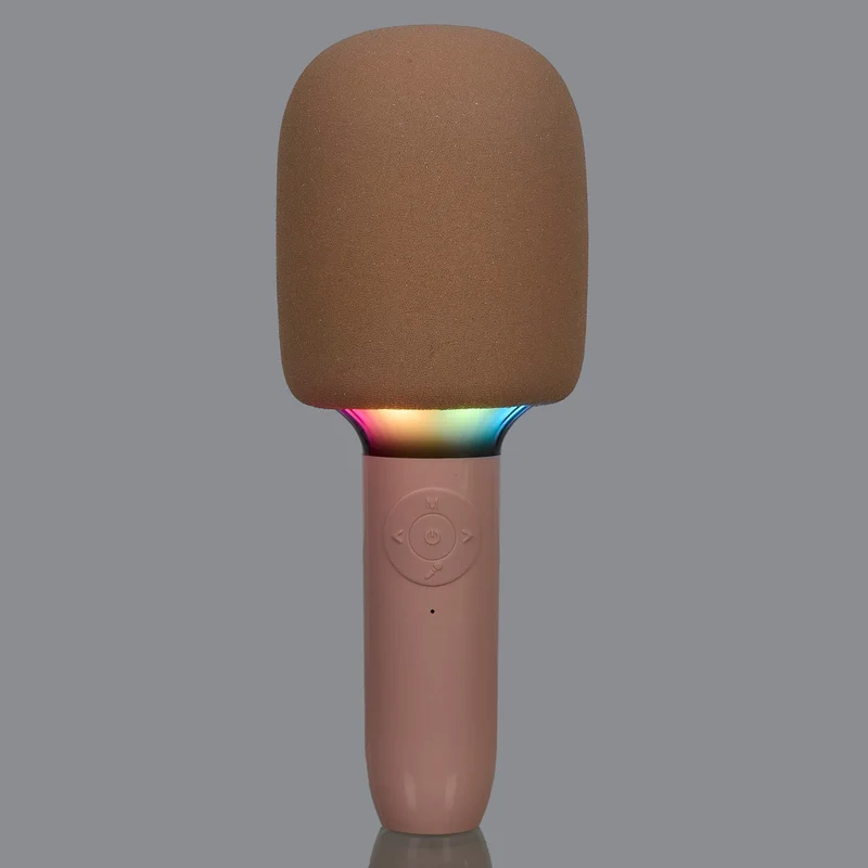 MICRO KARAOKE JE CHANTE COMME CELINE