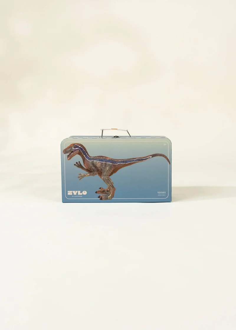 Velociraptor Dinosaur in a Collectible Box
