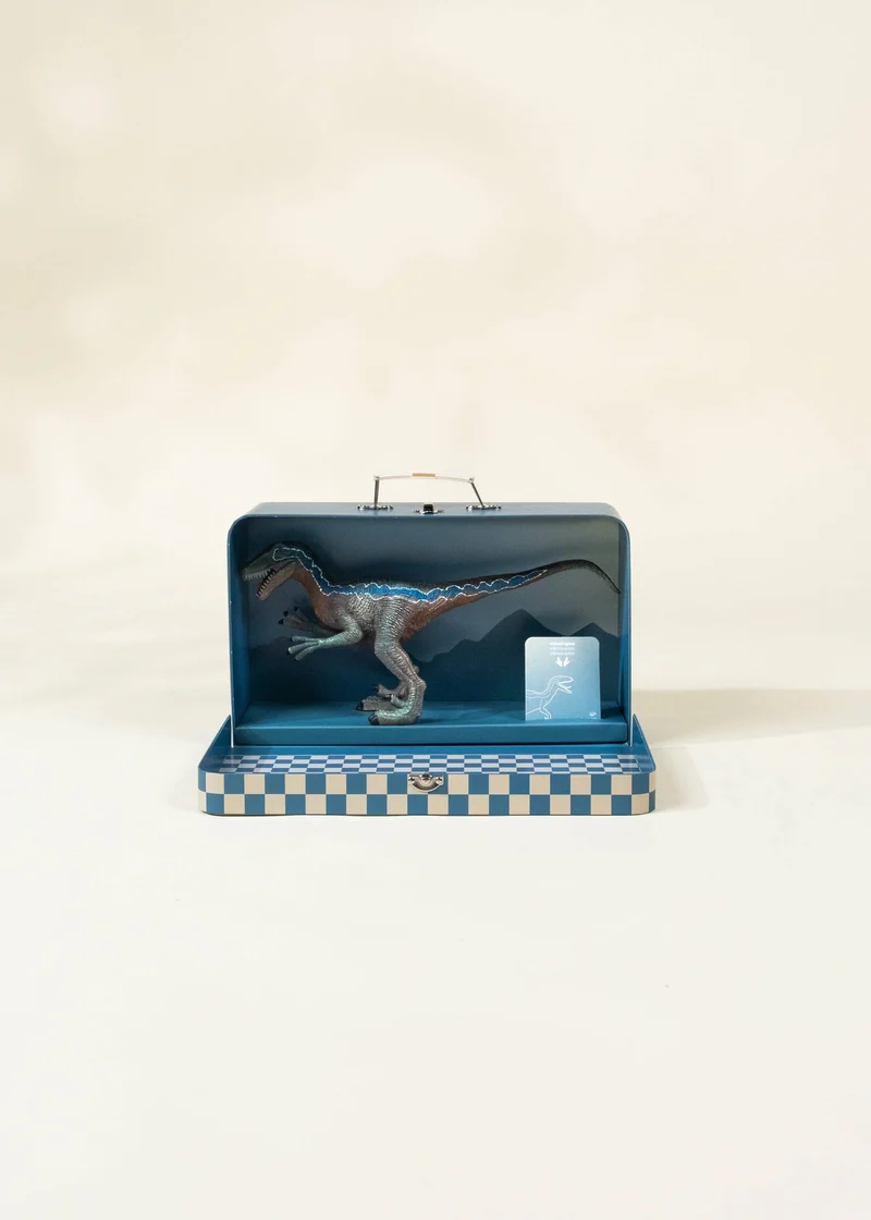 Velociraptor Dinosaur in a Collectible Box