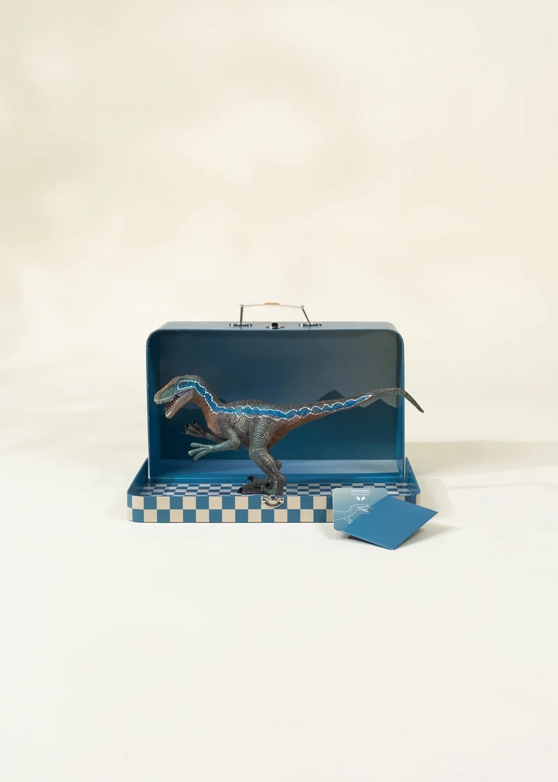 Velociraptor Dinosaur in a Collectible Box