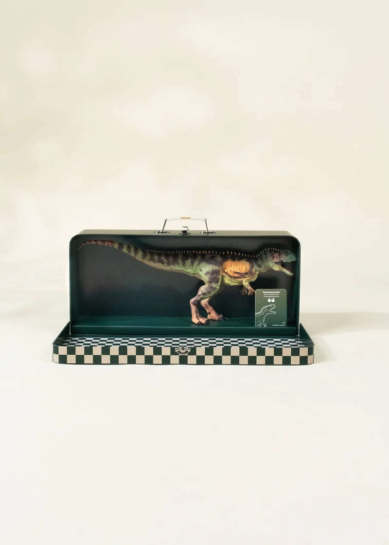 Tyrannosaurus Rex Dinosaur in a Collectible Box