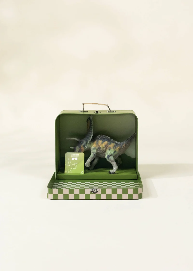 Pentaceratops Dinosaur in a Collectible Box