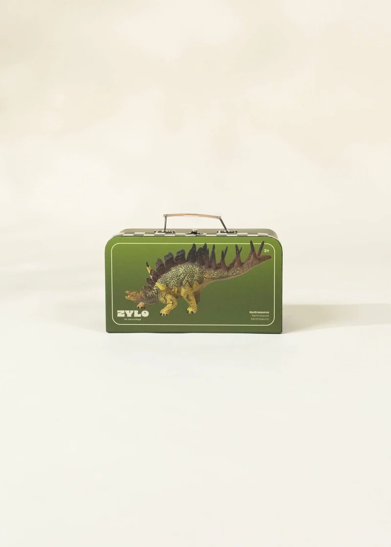 Kentrosaurus Dinosaur in a Collectible Box