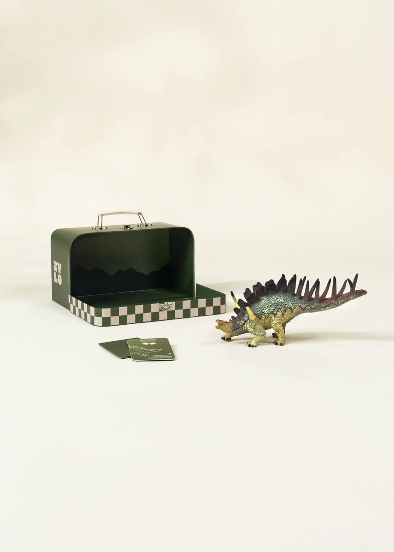 Kentrosaurus Dinosaur in a Collectible Box