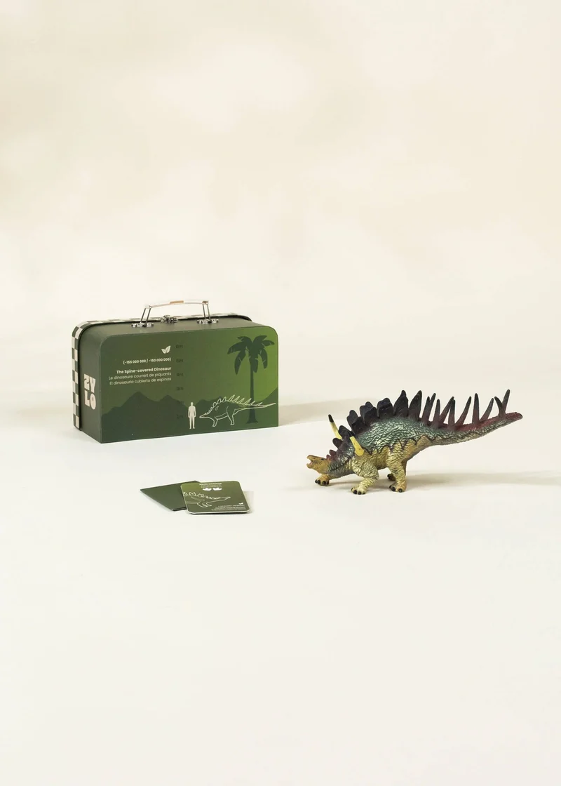 Kentrosaurus Dinosaur in a Collectible Box