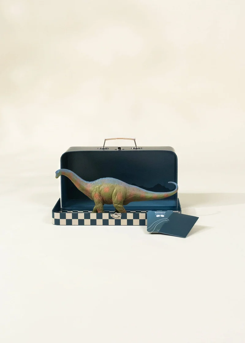 Brachiosaurus Dinosaur in a Collectible Box