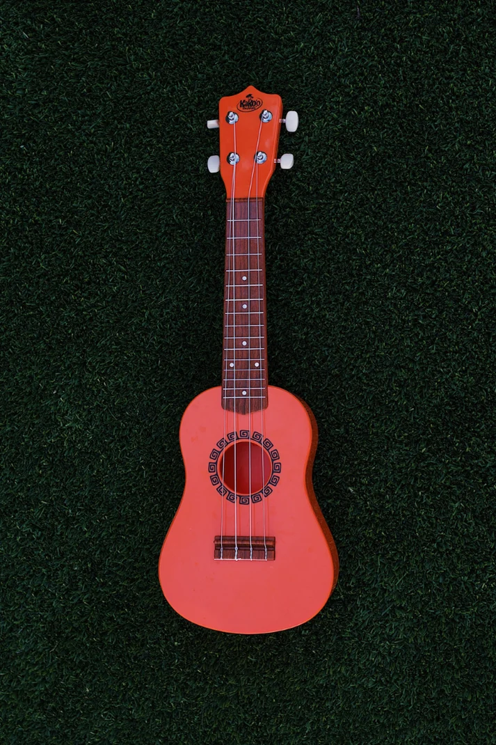 KAKO'O UKULELE (Assorted Styles)