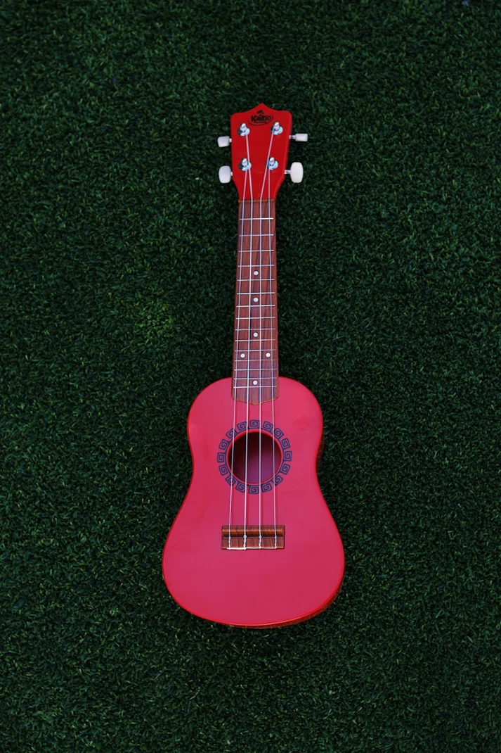 KAKO'O UKULELE (Assorted Styles)