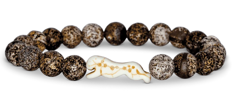 Fahlo Sprint Cheetah Tracking Bracelet: Kalahari