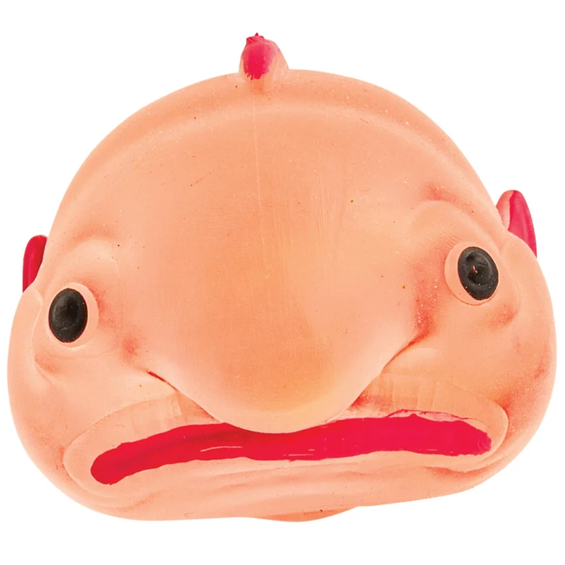 Sugar Trail Blobfish Squeezy Toy Fidget Friend
