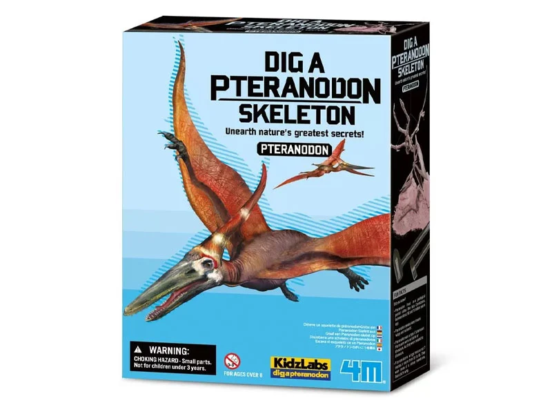 Kit DAM - Déterre ton dinosaure - Pteranodon