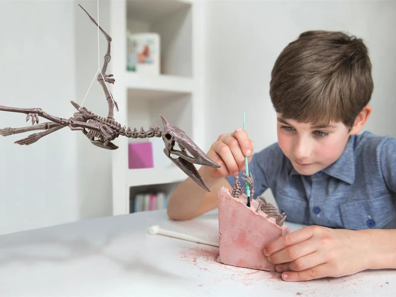 Kit DAM - Déterre ton dinosaure - Pteranodon
