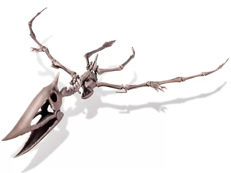 Kit DAM - Déterre ton dinosaure - Pteranodon