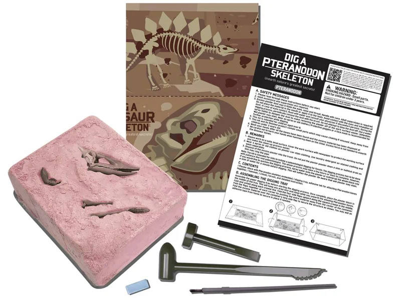 Kit DAM - Déterre ton dinosaure - Pteranodon