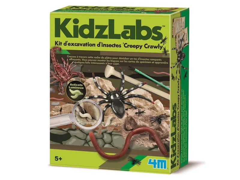 Kit DAM - Déterre tes insectes - Creepy Crawly