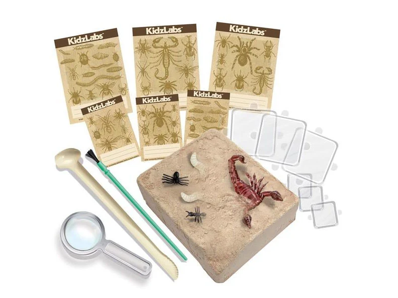 Kit DAM - Déterre tes insectes - Creepy Crawly