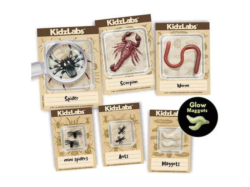 Kit DAM - Déterre tes insectes - Creepy Crawly