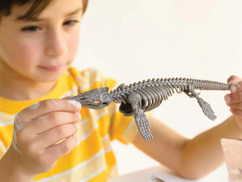 Kit DAM - Déterre ton dinosaure - Mosasaurus