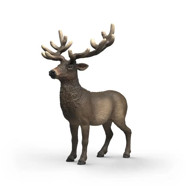 Schleich Wild Life Realistic Hand-Painted Elk Animal Toy Figure