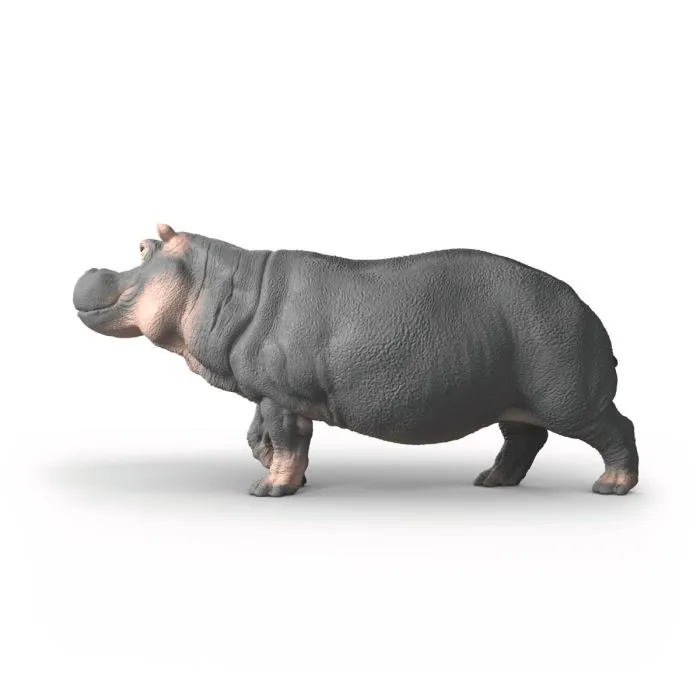 Schleich Wild Life Hippopotamus Realistic Safari Animal Toy Figure