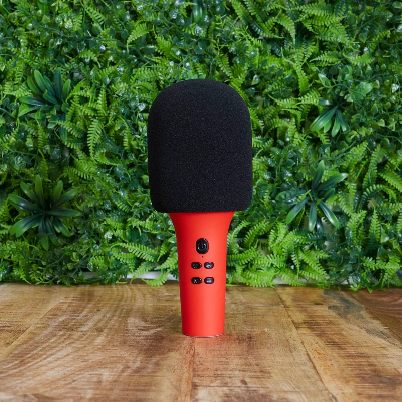 MICRO KARAOKE MICKY