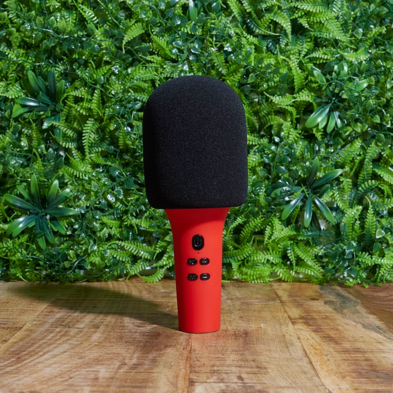 MICRO KARAOKE MICKY