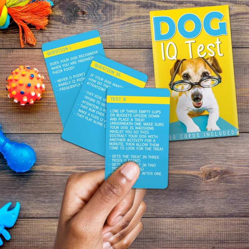 Dog IQ Test