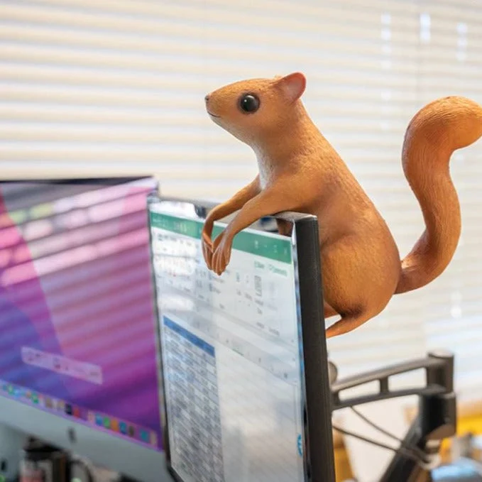 Office Squirrel