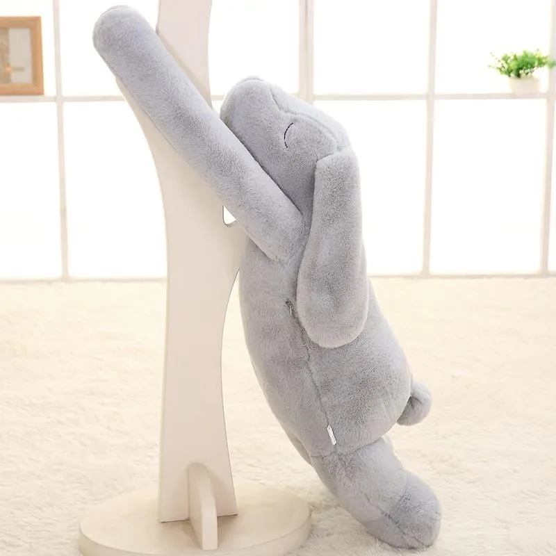 Lapin Câlin Géant Kawaii