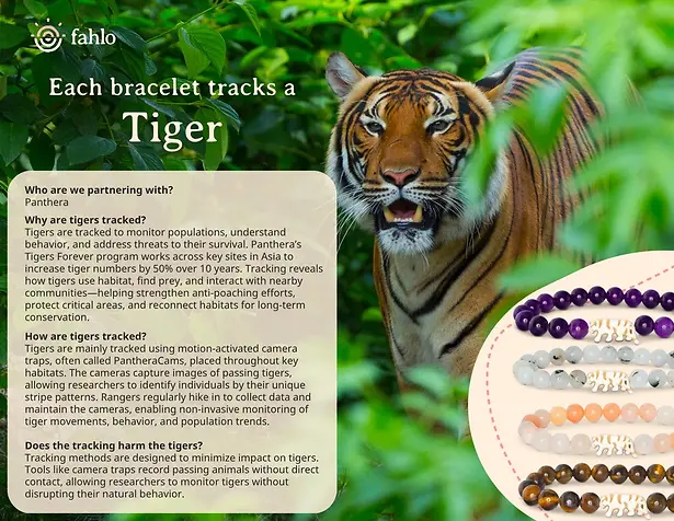 Fahlo The Prowl Bracelet Tiger's Eye Tracking Jewelry