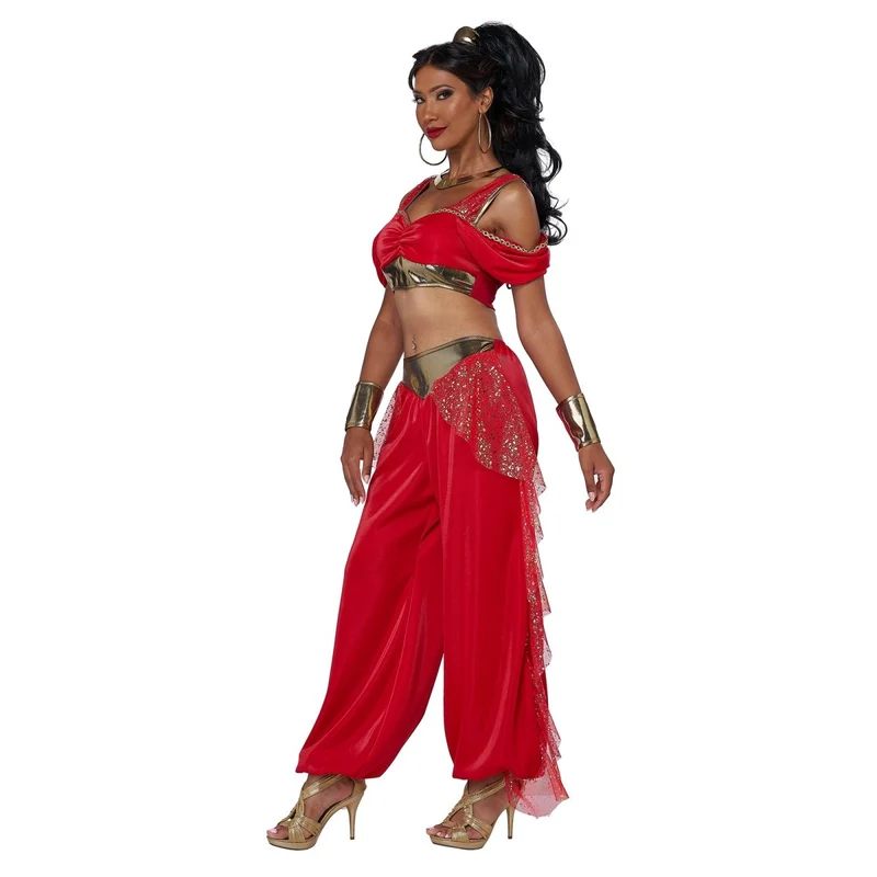 Sultry Arabian Princess Costume for Adults, Top, Pants and Cuffs