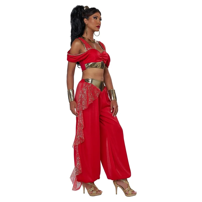 Sultry Arabian Princess Costume for Adults, Top, Pants and Cuffs