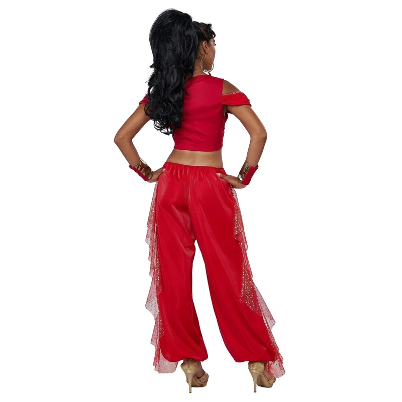 Sultry Arabian Princess Costume for Adults, Top, Pants and Cuffs