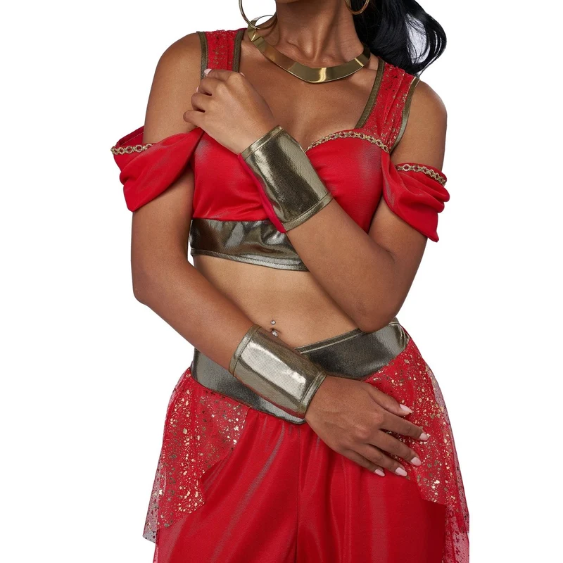 Sultry Arabian Princess Costume for Adults, Top, Pants and Cuffs