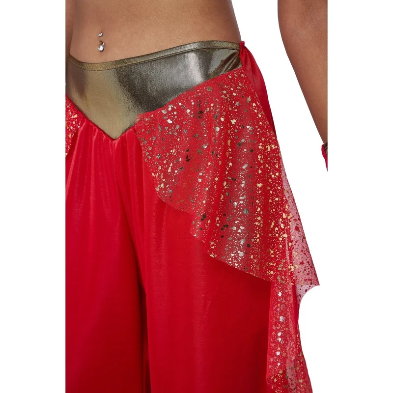 Sultry Arabian Princess Costume for Adults, Top, Pants and Cuffs