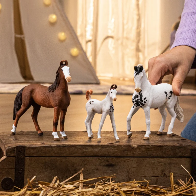 Marwari Foal