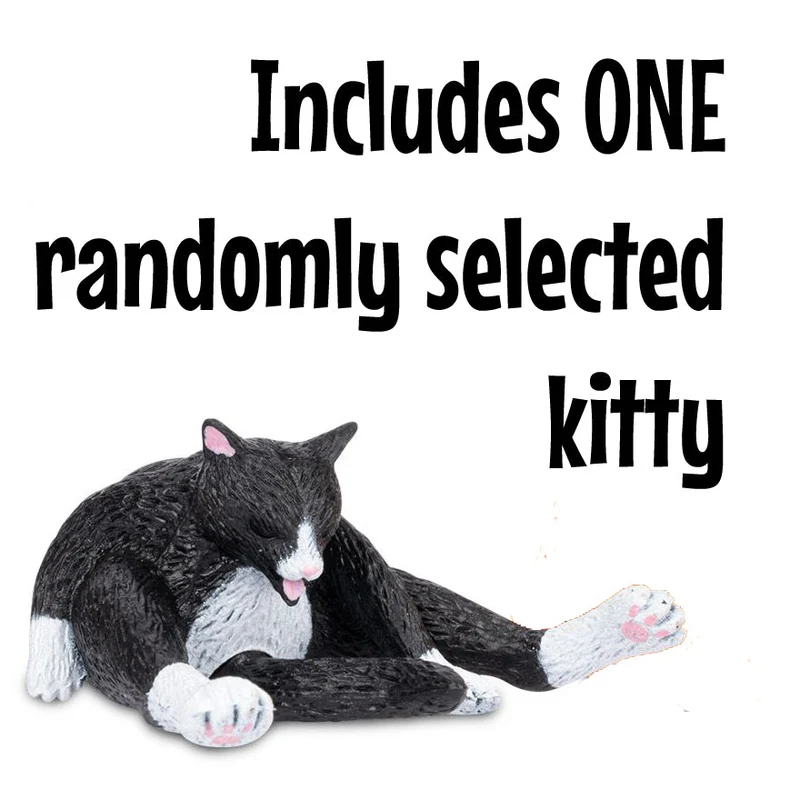 Cleaning Kitty - 1 random color