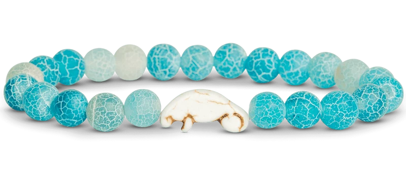 Manatee Aqua Blue