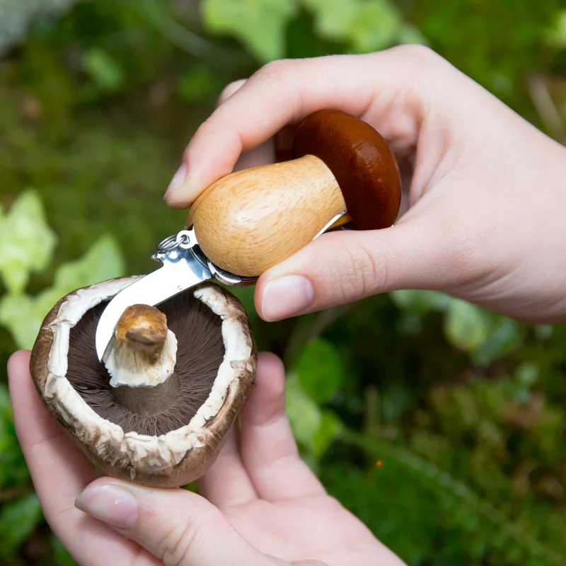 Mushroom Tool Keychain-
