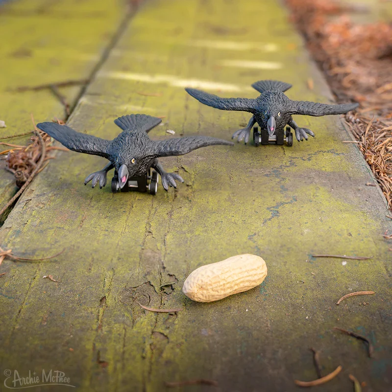 Racing Crow - 1 pc