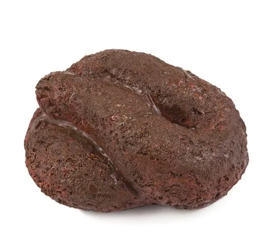 Busters Hide-A-Key Dog Poop