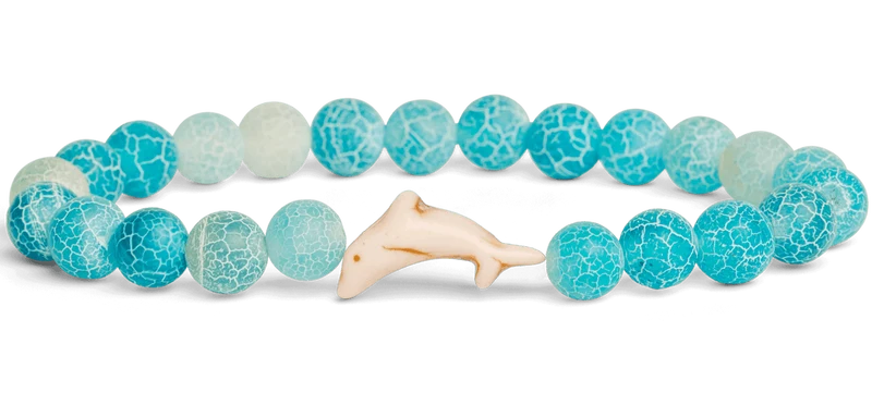 Aqua Blue Dolphin