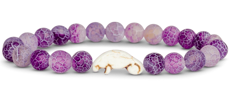 Manatee Coral Reef Violet