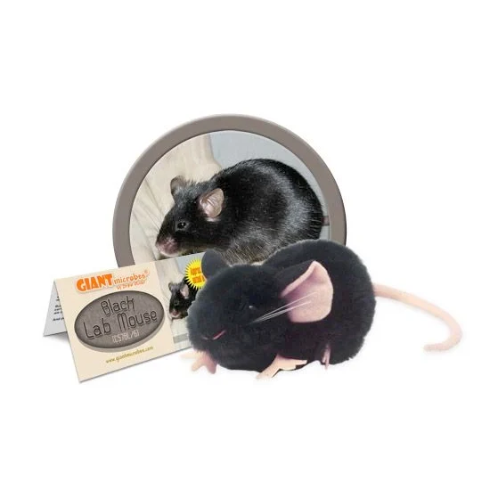 Lab Mouse Plush