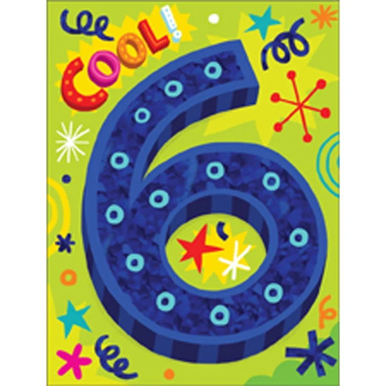 Age 6 Cool Six Mini Blank Gift Enclosure Card
