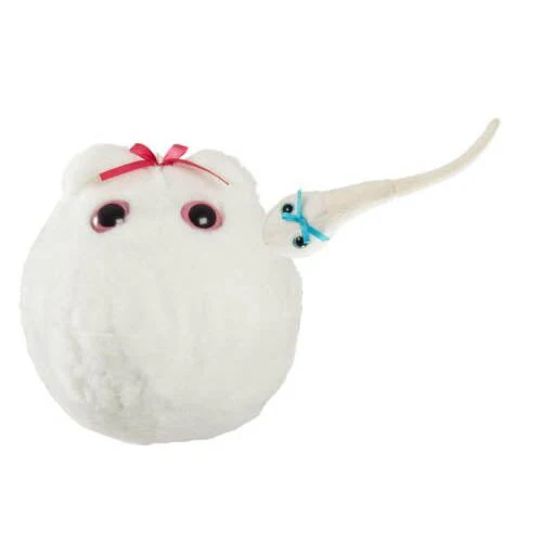 XL Egg with magnetic mini Sperm